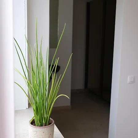 Villa Le Renard Knokke-Heist
