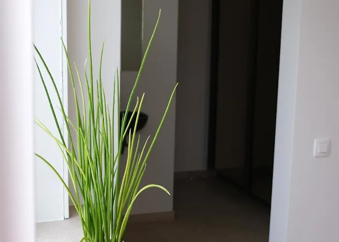 Villa Le Renard Knokke-Heist